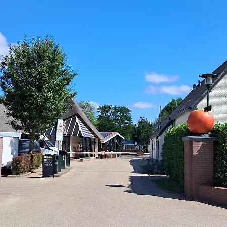 Hébergement de vacances 55 I 6 Persoons Op De Betuwe Zennewijnen