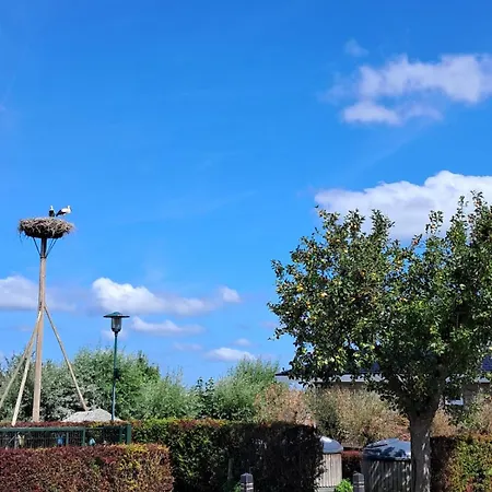 55 I 6 Persoons In Zennewijnen