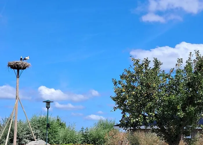 55 I 6 Persoons Op De Betuwe Zennewijnen